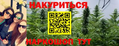 дурь Заводоуковск
