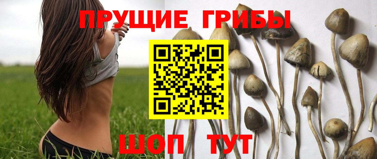 COCAIN  Бошки Шишки  Вход с VPN  Лсд 25  Меф МЯУ МЯУ кристаллы  Магнитогорск  ГАШИШ 