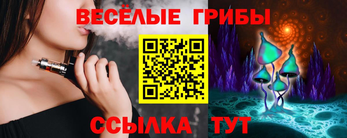 Галлюциногенные грибы Psilocybine cubensis Магнитогорск