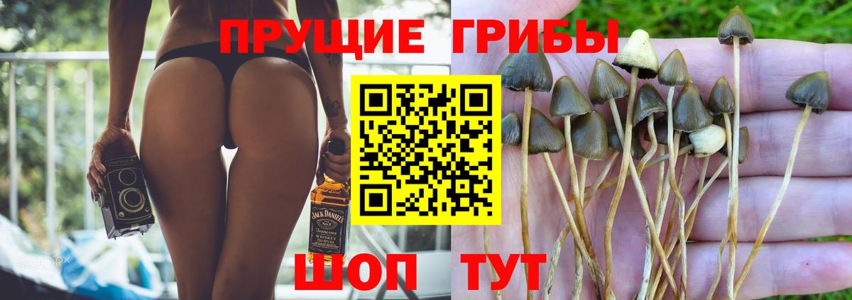 Магнитогорск  Псилоцибиновые грибы Psilocybine cubensis  Вход с VPN 